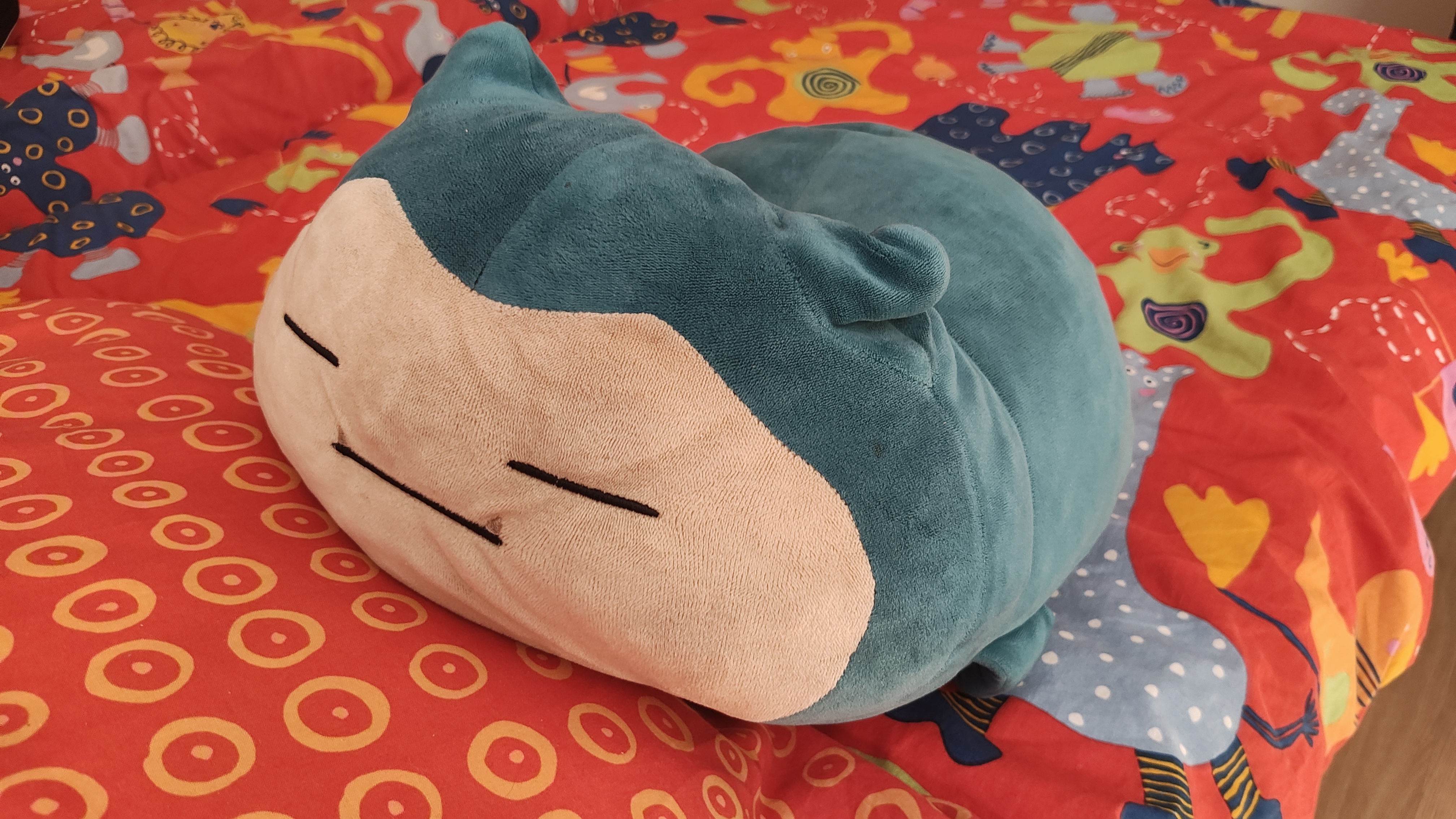 Norlas, durmiendo, como de costumbre (^-_-^)